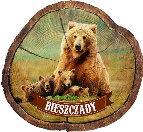 Magnes drewniany pieniek Bieszczady