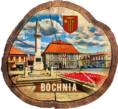 Magnes drewniany pieniek Bochnia