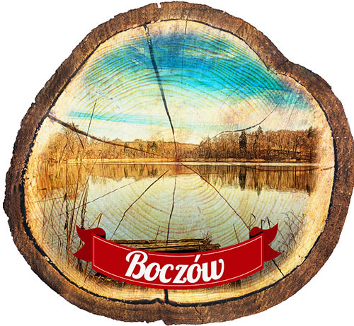 Magnes drewniany pieniek Boczów