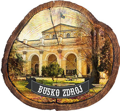 Magnes drewniany pieniek Busko-Zdrój