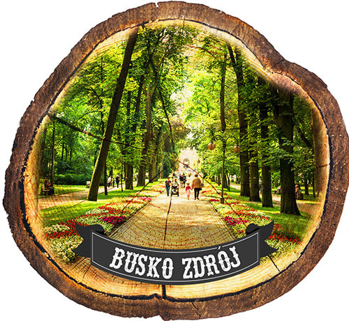 Magnes drewniany pieniek Busko-Zdrój