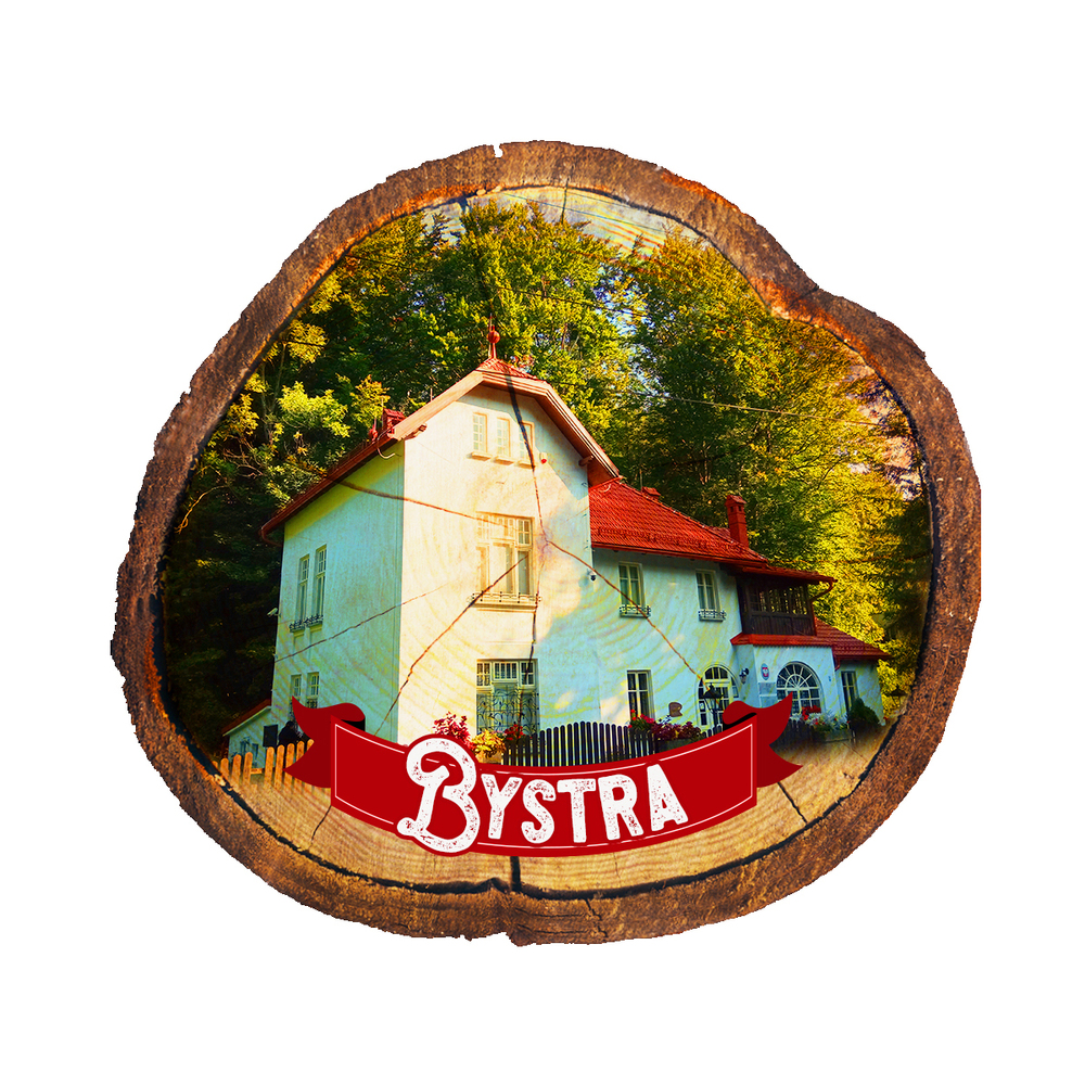 Magnes drewniany pieniek Bystra