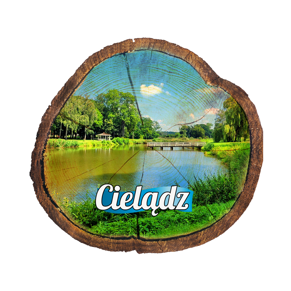Magnes drewniany pieniek Cielądz