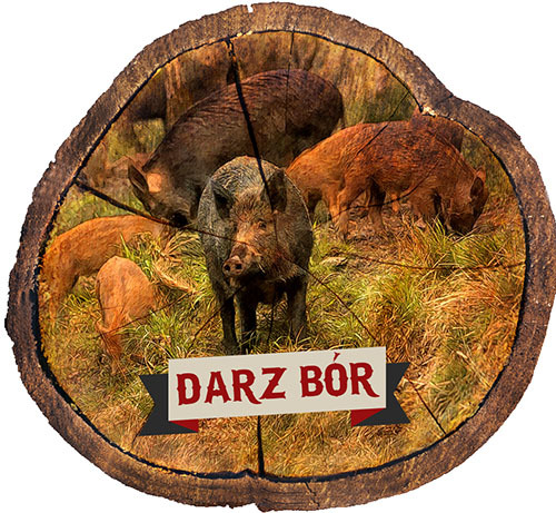 Magnes drewniany pieniek Darz Bór