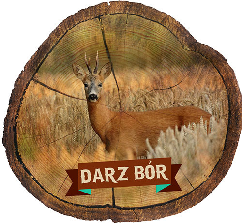 Magnes drewniany pieniek Darz Bór