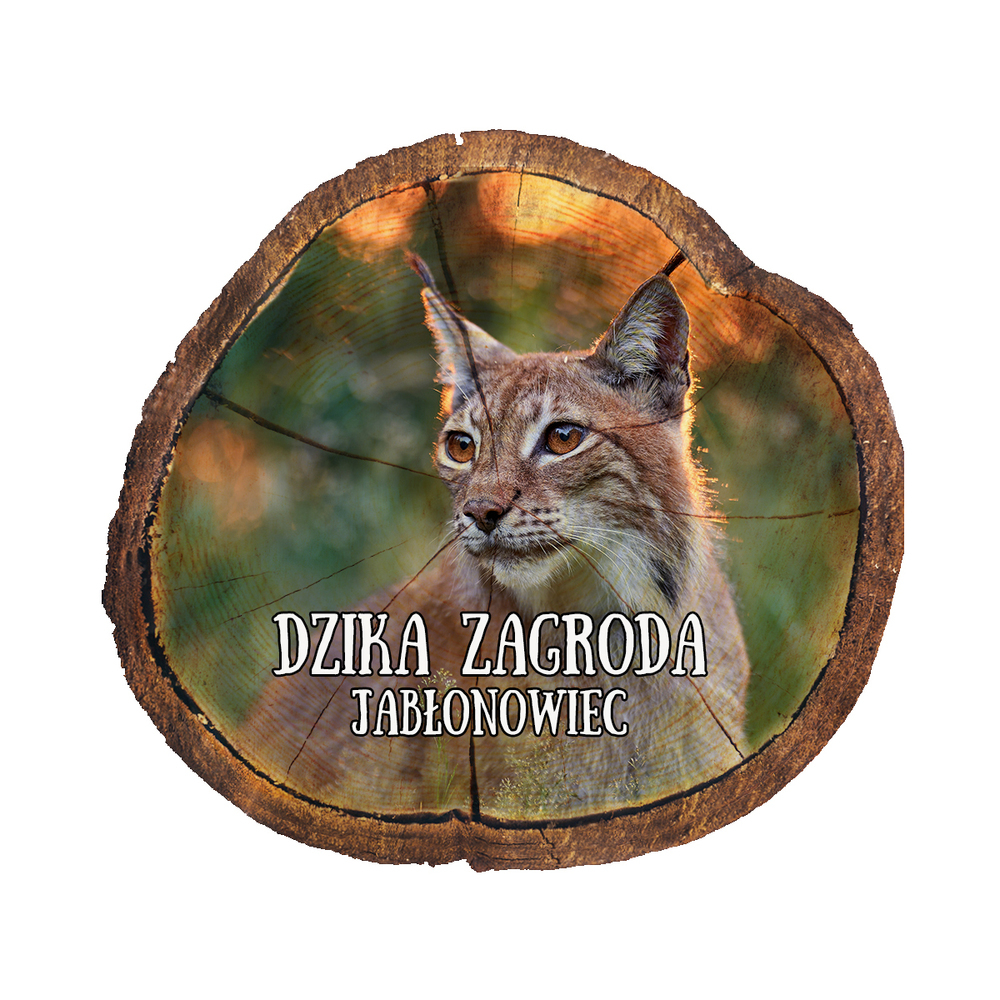 Magnes drewniany pieniek Jabłonowiec