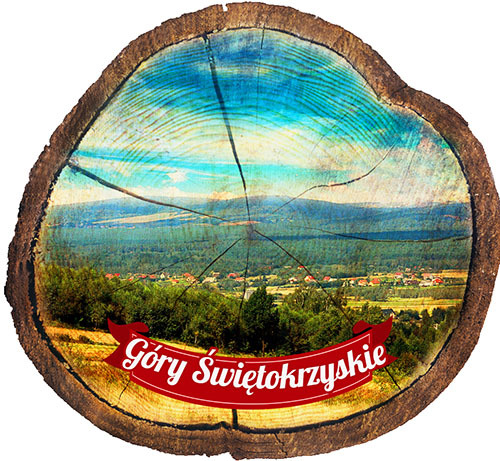 Magnes drewniany pieniek Góry Świętokrzyskie