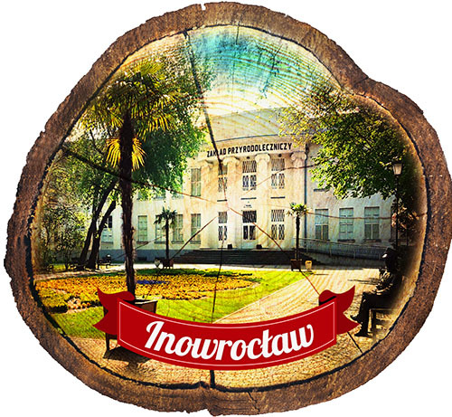 Magnes drewniany pieniek Inowrocław
