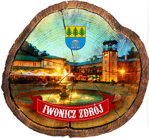 Magnes drewniany pieniek Iwonicz-Zdrój