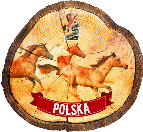 Magnes drewniany pieniek Janów Podlaski
