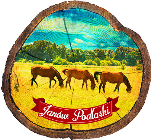 Magnes drewniany pieniek Janów Podlaski