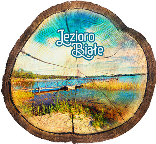 Magnes drewniany pieniek Jezioro Białe