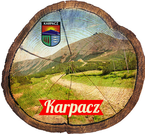 Magnes drewniany pieniek Karpacz