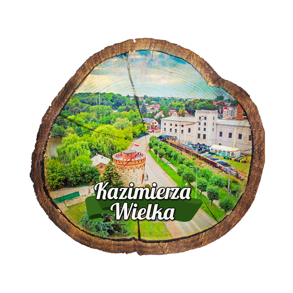 Magnes drewniany pieniek Kazimierza Wielka