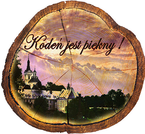 Magnes drewniany pieniek Kodeń