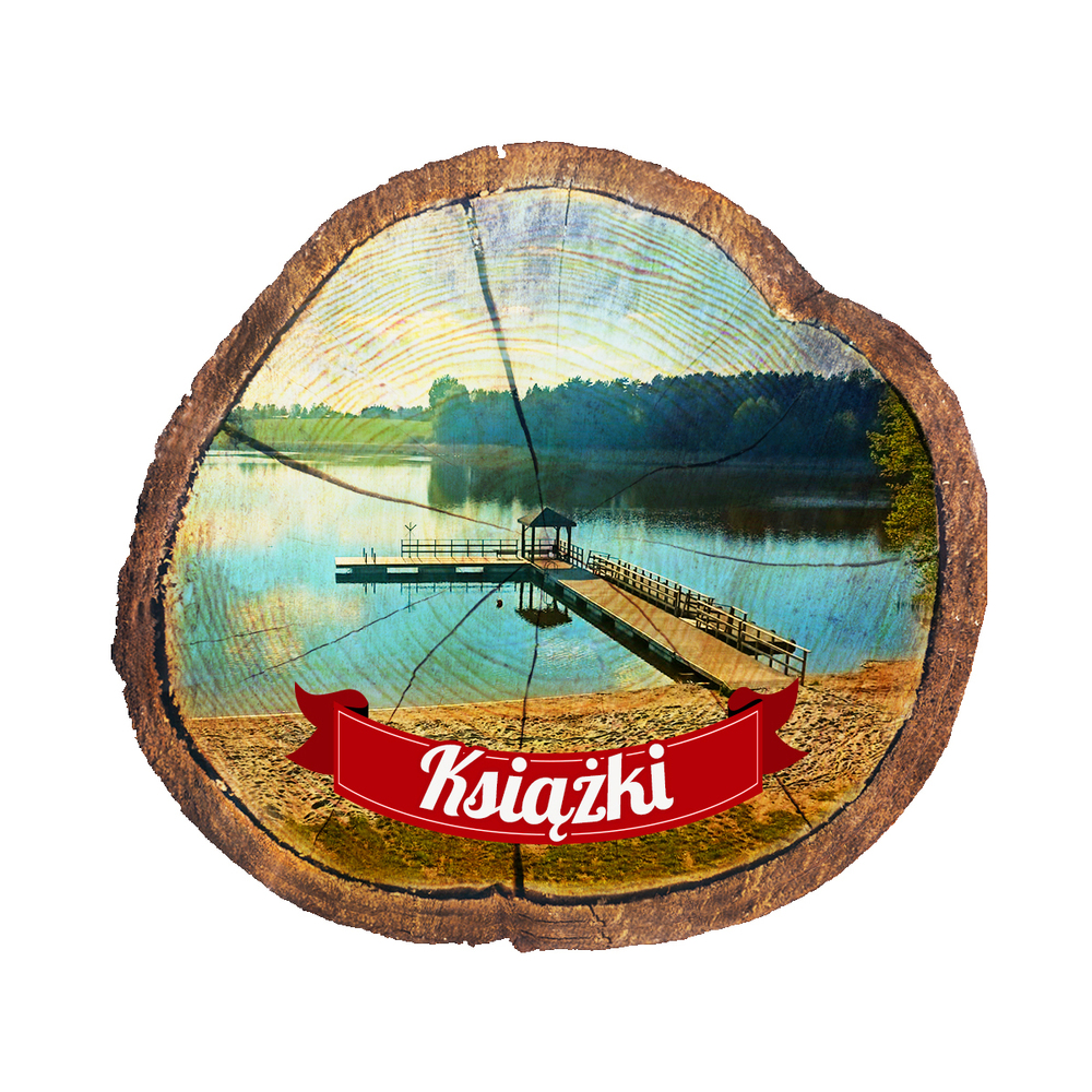 Magnes drewniany pieniek Książki