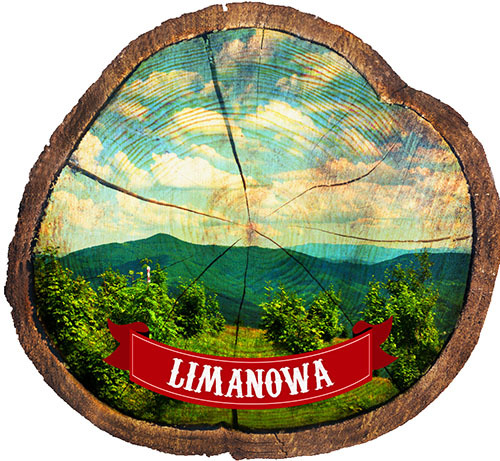 Magnes drewniany pieniek Limanowa