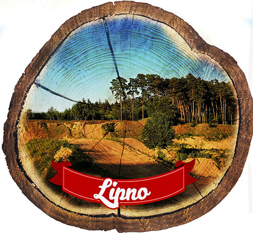 Magnes drewniany pieniek Lipno