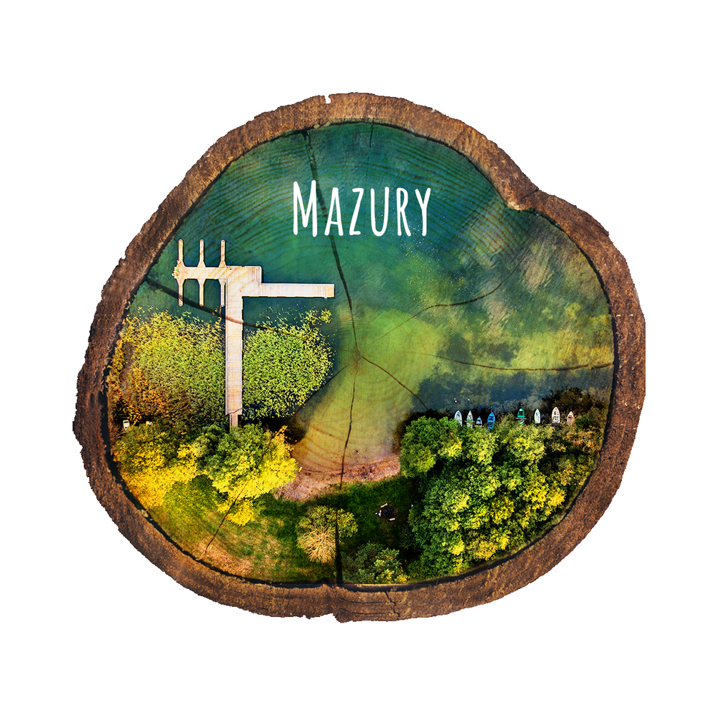 Magnes drewniany pieniek Mazury