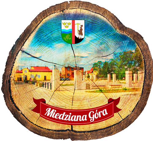 Magnes drewniany pieniek Miedziana Góra