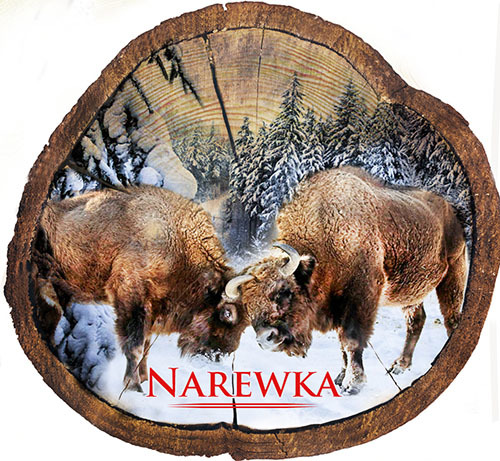 Magnes drewniany pieniek Narewka