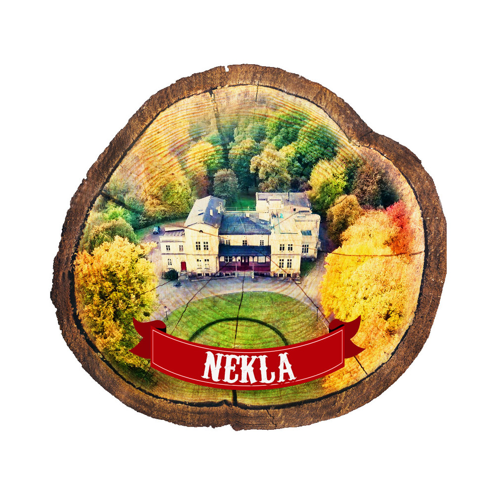 Magnes drewniany pieniek Nekla