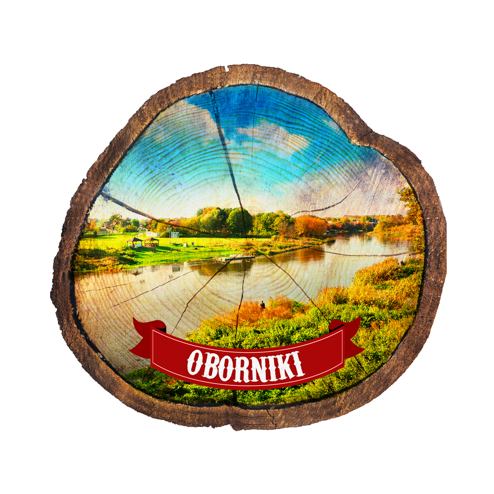 Magnes drewniany pieniek Oborniki