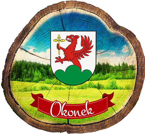 Magnes drewniany pieniek okonek