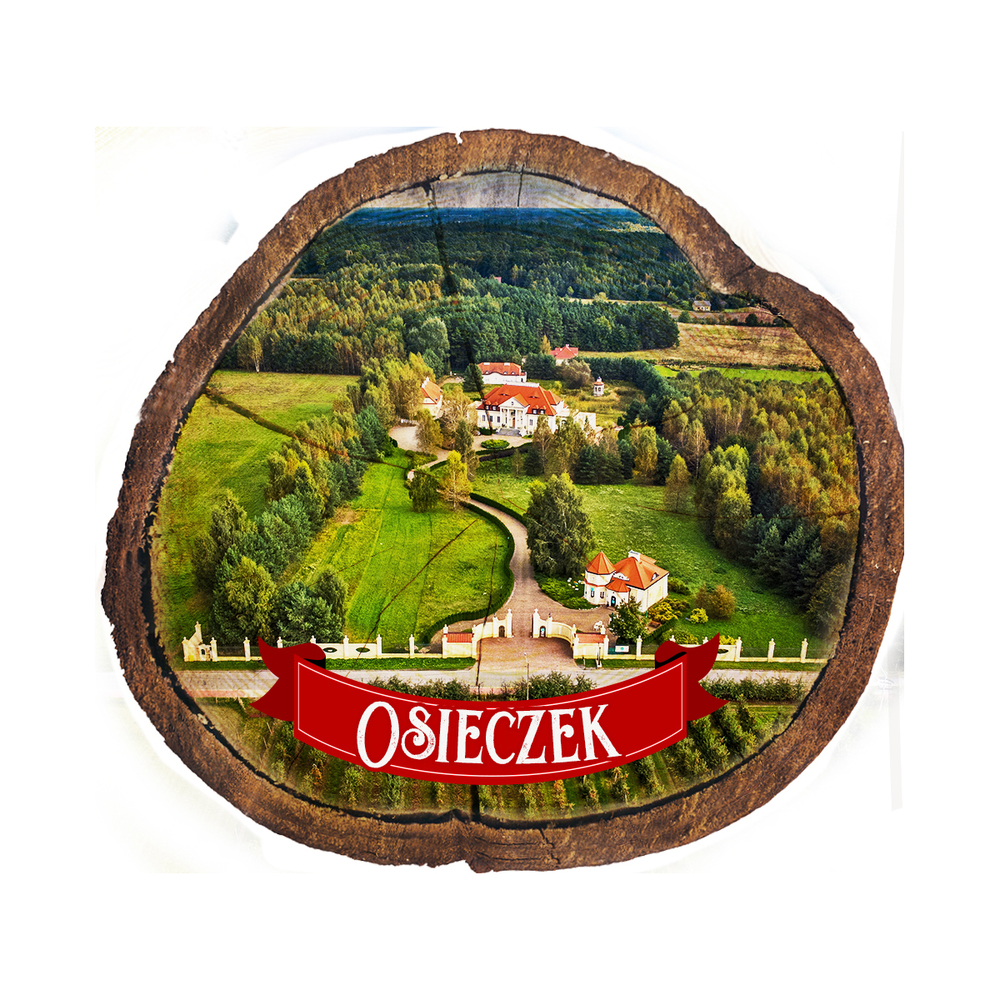 Magnes drewniany pieniek Osieczek