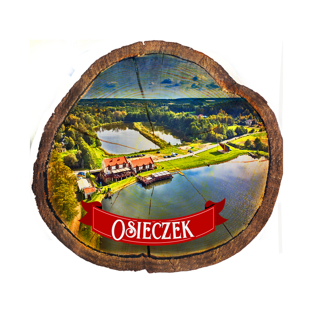 Magnes drewniany pieniek Osieczek