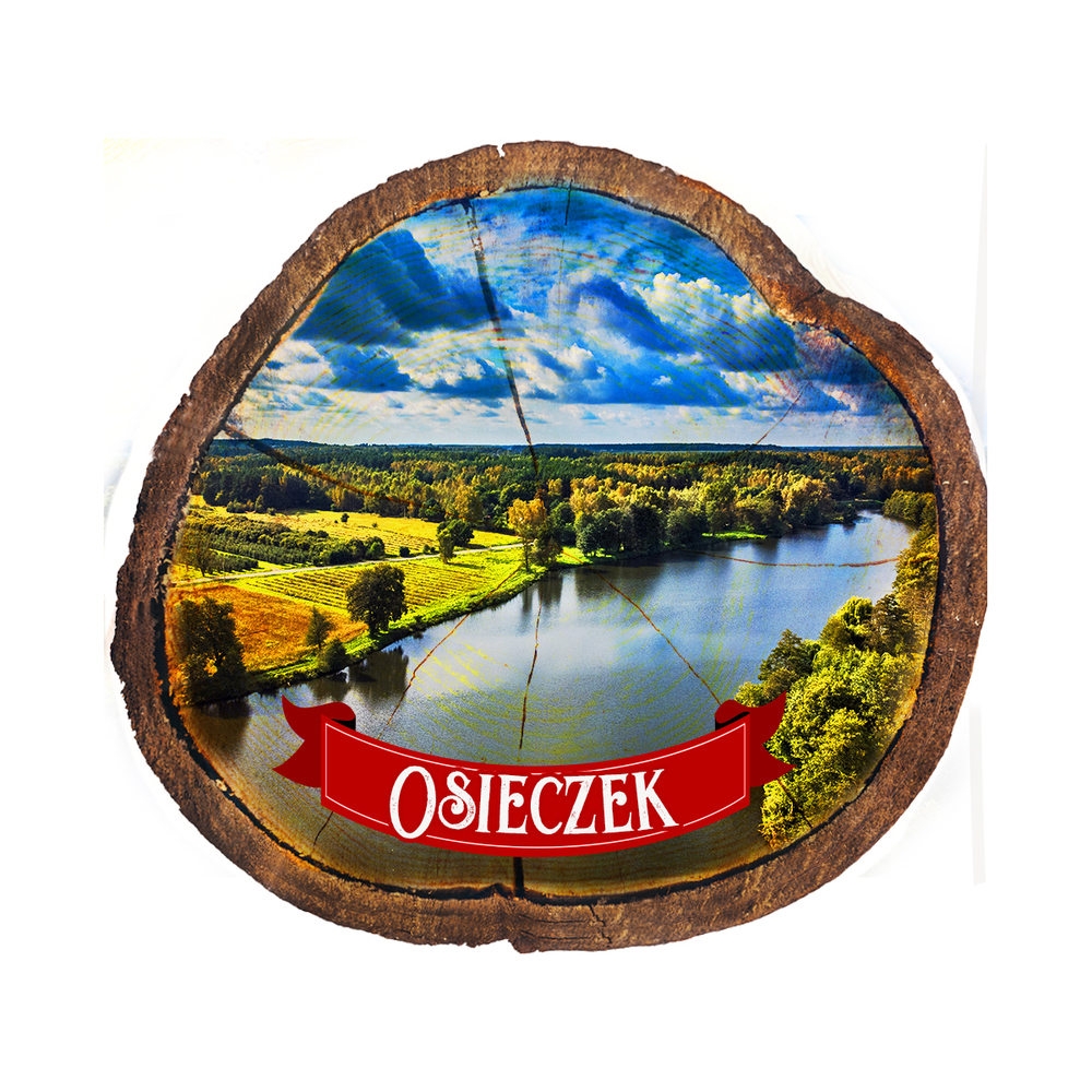 Magnes drewniany pieniek Osieczek