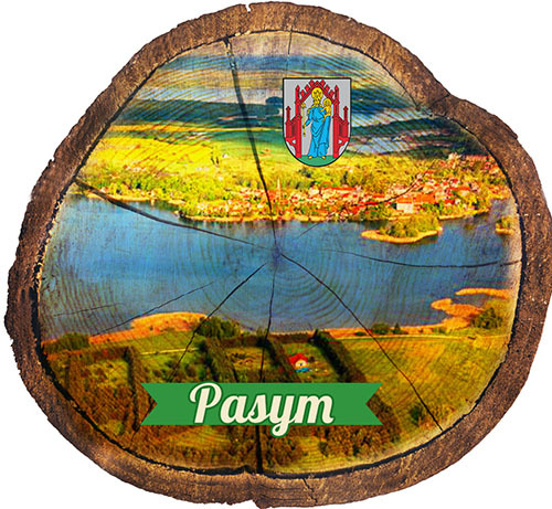 Magnes drewniany pieniek Pasym