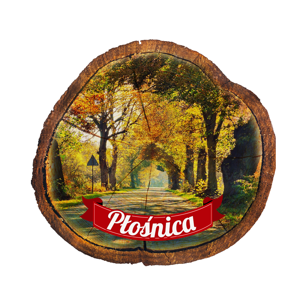 Magnes drewniany pieniek Płośnica
