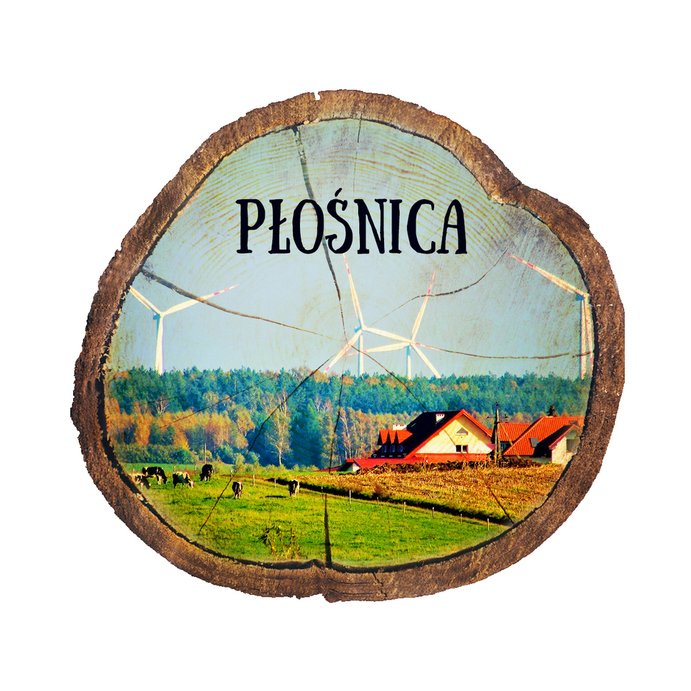 Magnes drewniany pieniek Płośnica