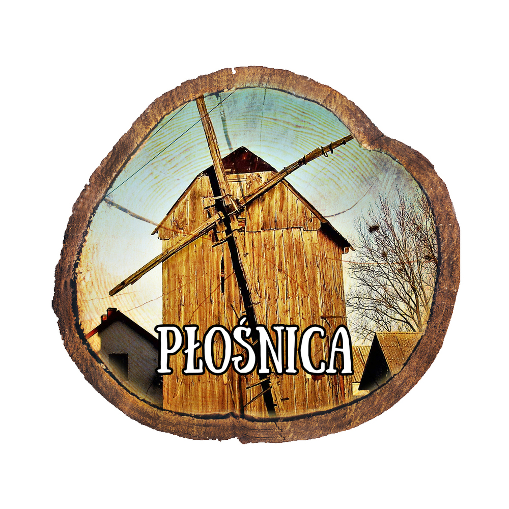 Magnes drewniany pieniek Płośnica