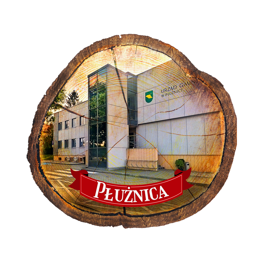 Magnes drewniany pieniek Płużnica