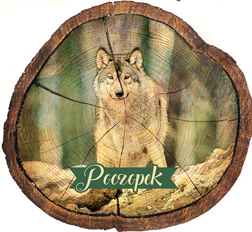 Magnes drewniany pieniek Poczopek