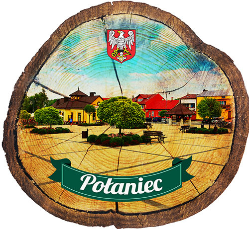 Magnes drewniany pieniek Połaniec