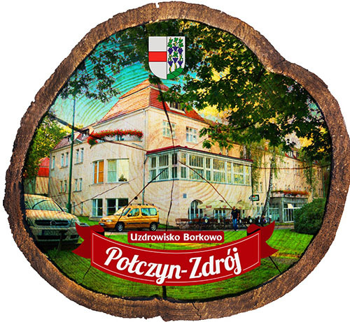 Magnes drewniany pieniek Połczyn-Zdrój