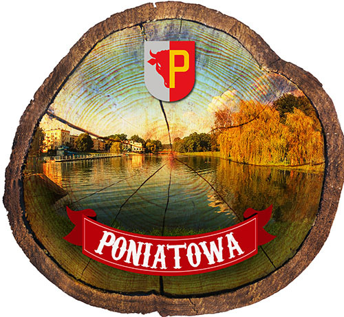 Magnes drewniany pieniek Poniatowa