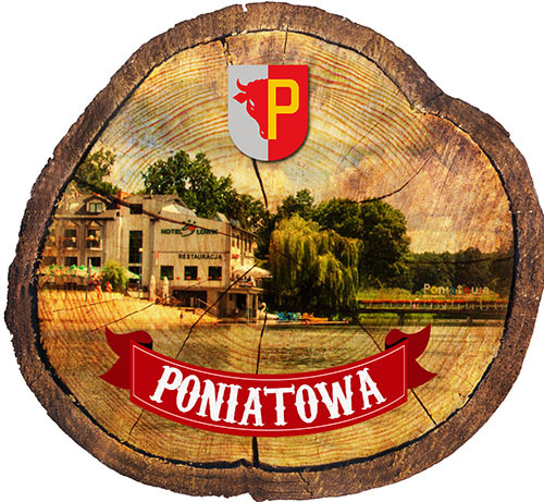 Magnes drewniany pieniek Poniatowa