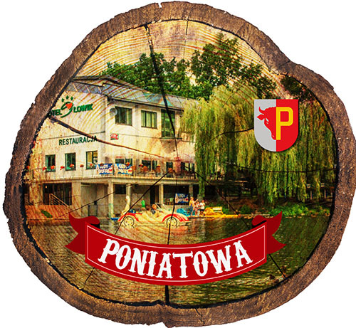 Magnes drewniany pieniek Poniatowa