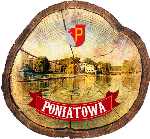 Magnes drewniany pieniek Poniatowa