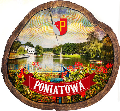 Magnes drewniany pieniek Poniatowa