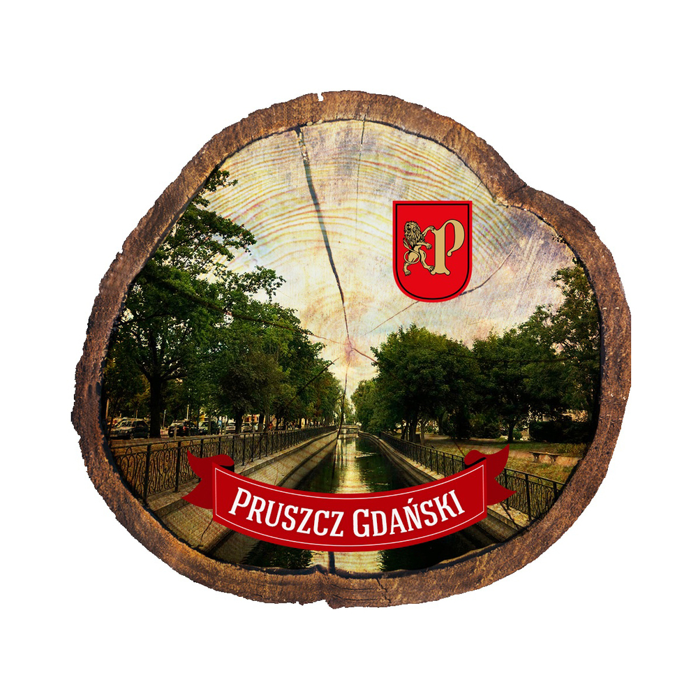 Magnes drewniany pieniek Pruszcz Gdański