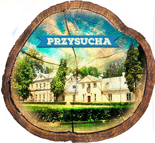 Magnes drewniany pieniek Przysucha