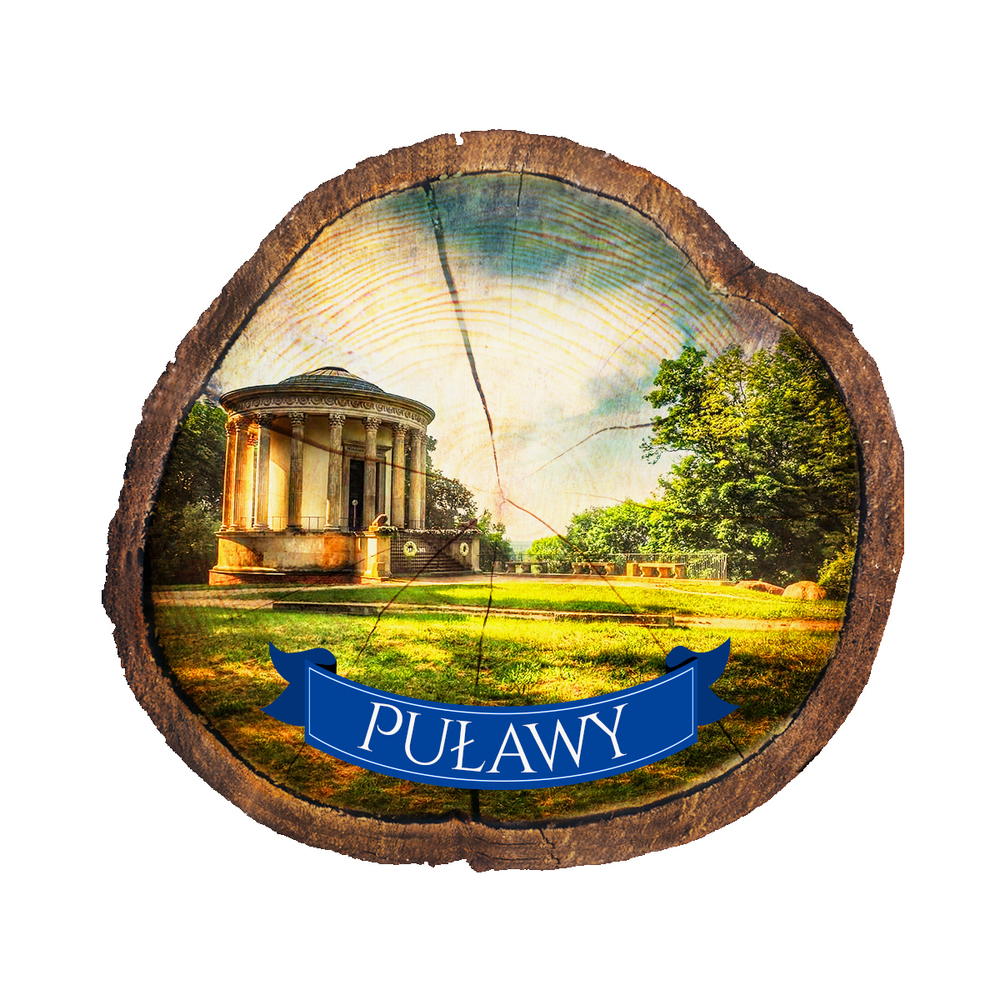 Magnes drewniany pieniek Puławy