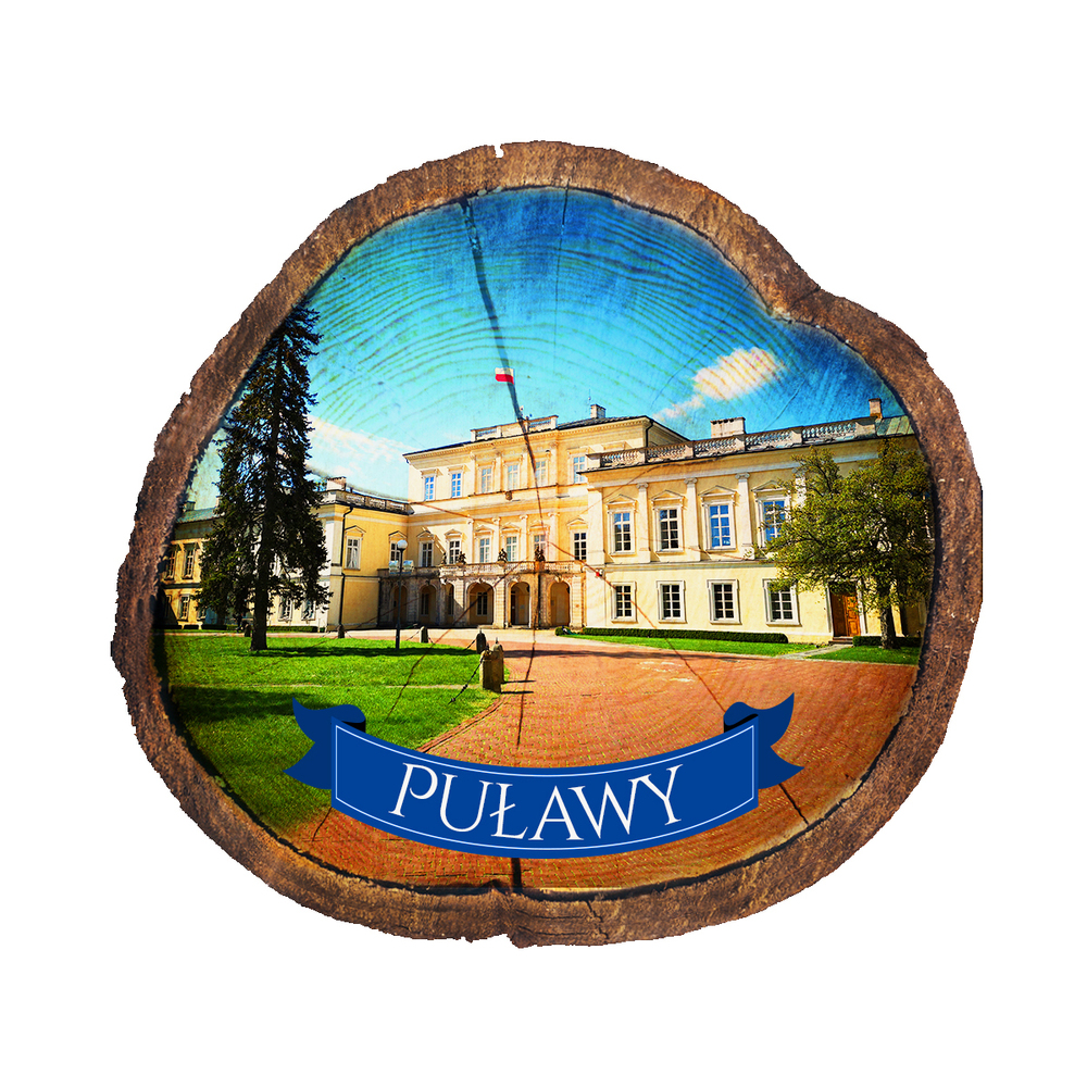 Magnes drewniany pieniek Puławy