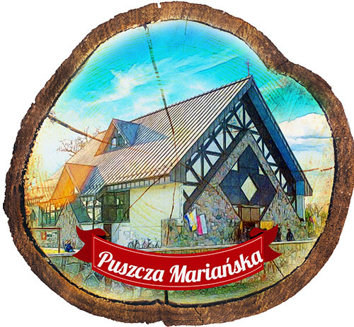 Magnes drewniany pieniek Puszcza Mariańska