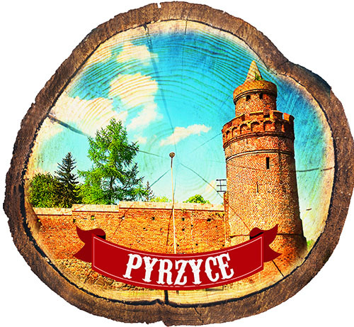 Magnes drewniany pieniek Pyrzyce